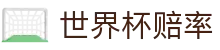 2026国际足联世界杯（中国）授权官方平台 | 实时世界杯赔率查询服务